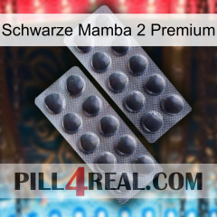 Black Mamba 2 Premium 31